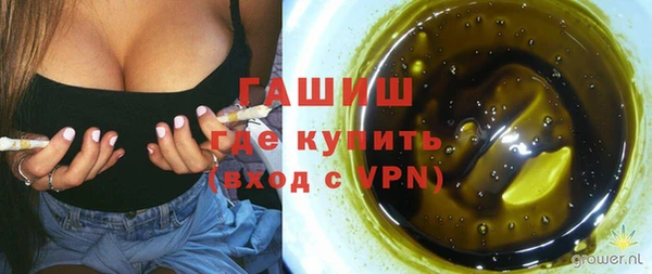 дживик Переславль-Залесский