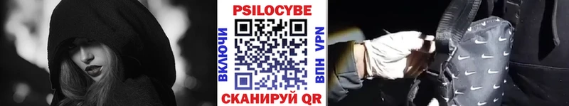 Купить закладки  Красноярск  Псилоцибиновые грибы мицелий 